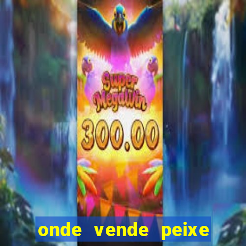 onde vende peixe betta perto de mim