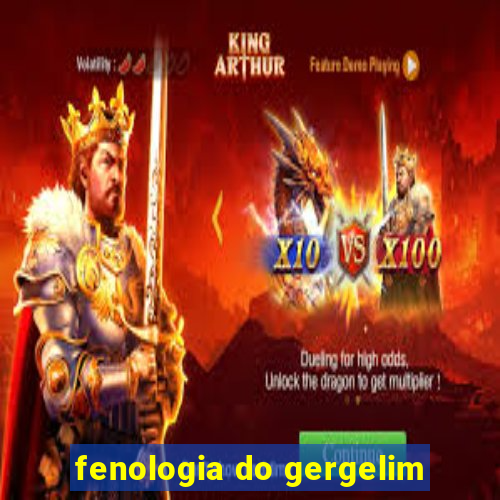 fenologia do gergelim