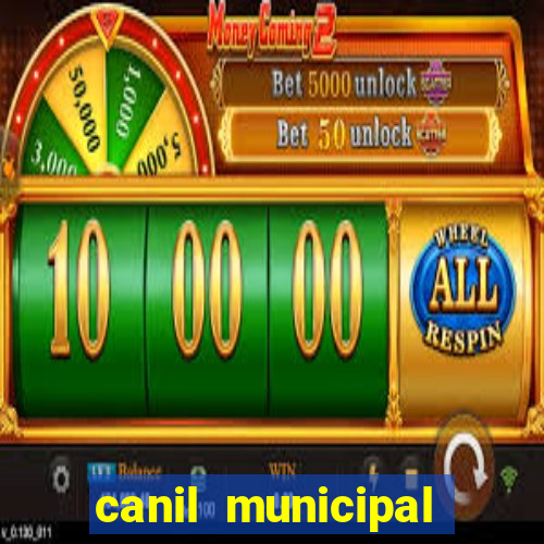 canil municipal porto alegre