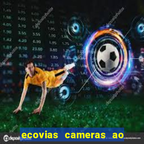 ecovias cameras ao vivo santos