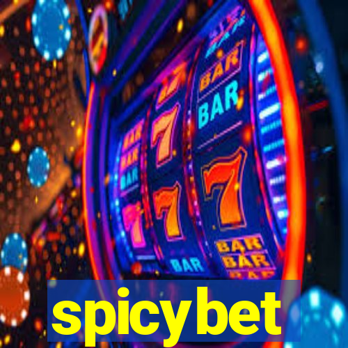 spicybet-4.com